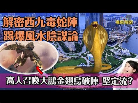 毒蛇陣|毒蛇陣12大分析2024!內含毒蛇陣絕密資料